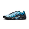 Air Max Plus Blue Gradient - Sneaker basket homme femme - 1