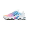 Air Max Plus Summer Gradient - Sneaker basket homme femme - 1